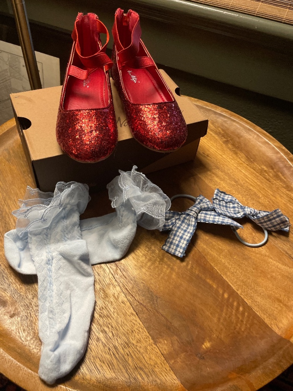 Dorothy from the Wizard of Oz costume essentials sz2 shoes